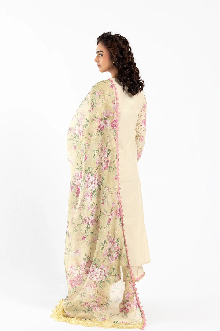 Ethnic | Embroidered Suit | E0611/105/004