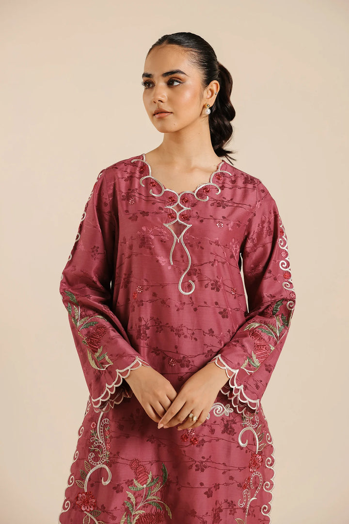 Ethnic | EMBROIDERED SUIT | E2659/103/404 - House of Ayeza