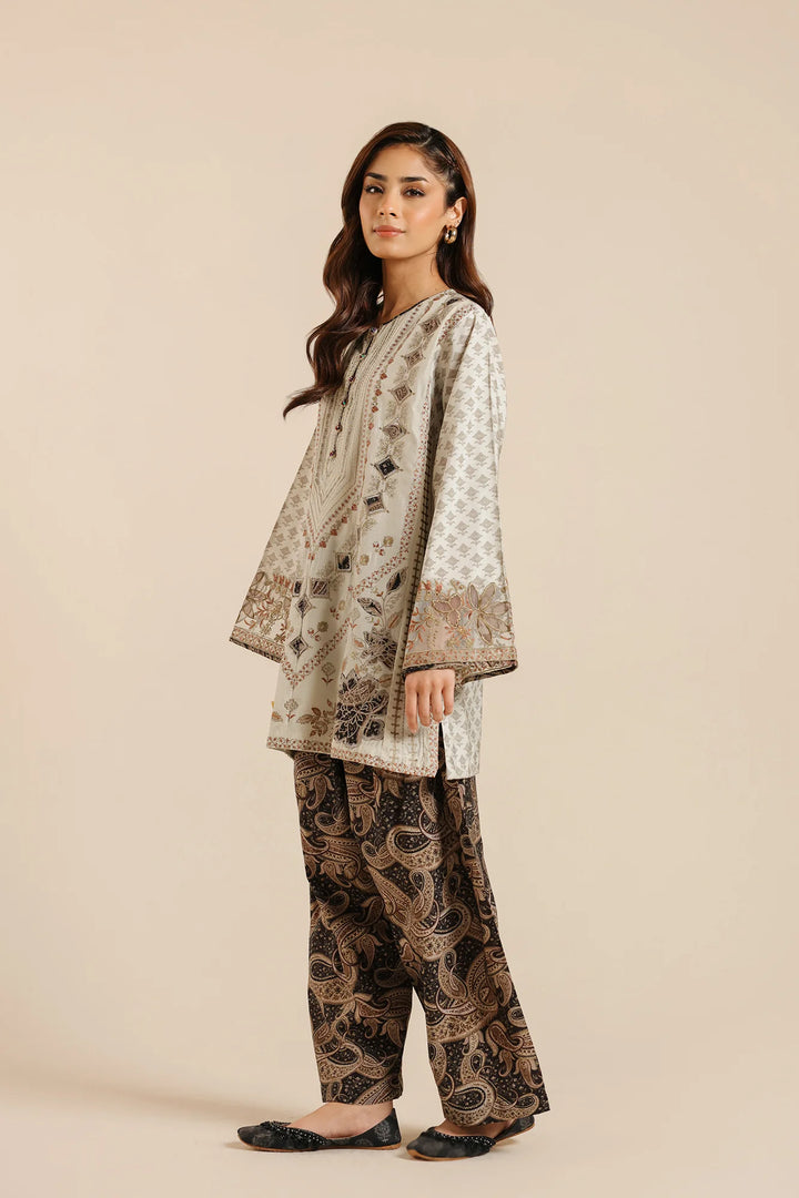 Ethnic | EMBROIDERED SUIT | E2679/103/817 - House of Ayeza