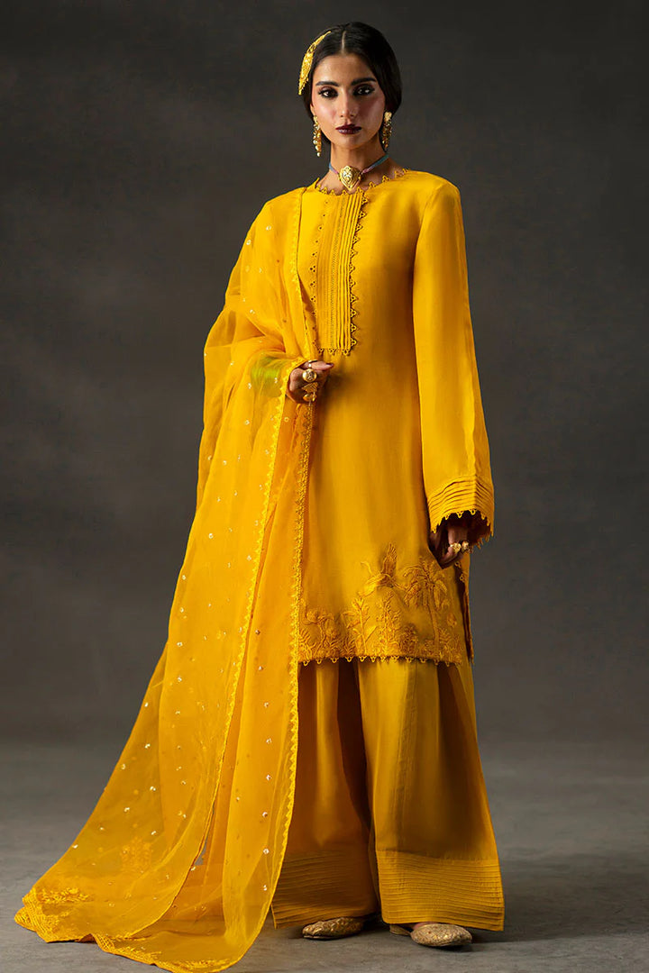 MNR | Baano Summer Festive'25 | Iqbal Bano - House of Ayeza
