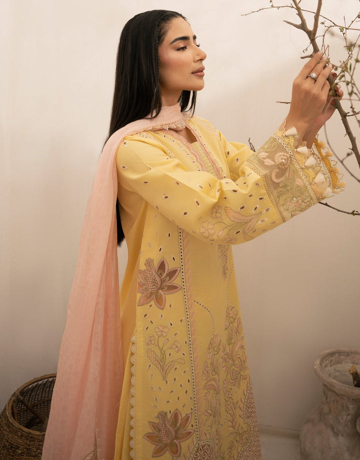 CINQ | Capsule Luxury Eid Edit '24 | FLEUR - House of Ayeza