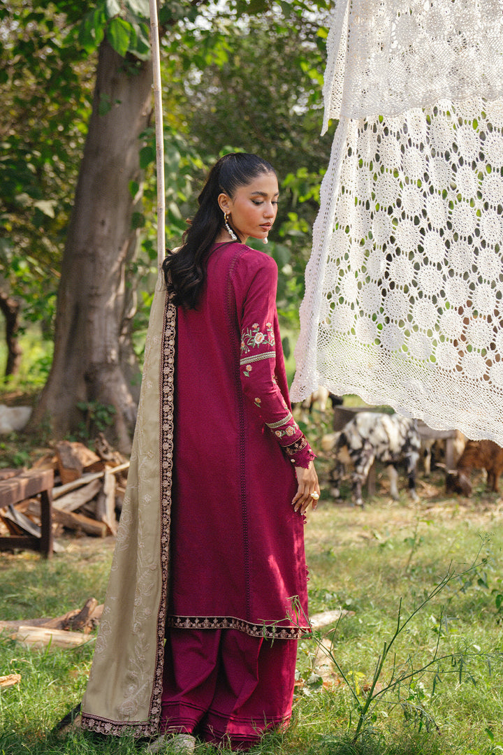 Saira Rizwan | Winter '24 | SANSA-SRW24-09 - House of Ayeza