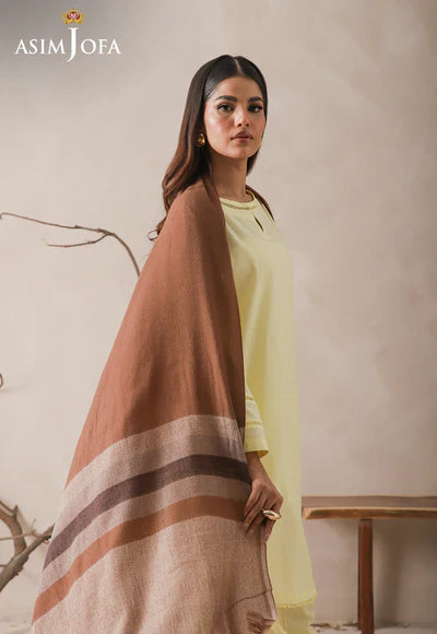 Asim Jofa | STRIPED BORDER YARN DYED STOLE 1 PC | AJHS-03 - House of Ayeza