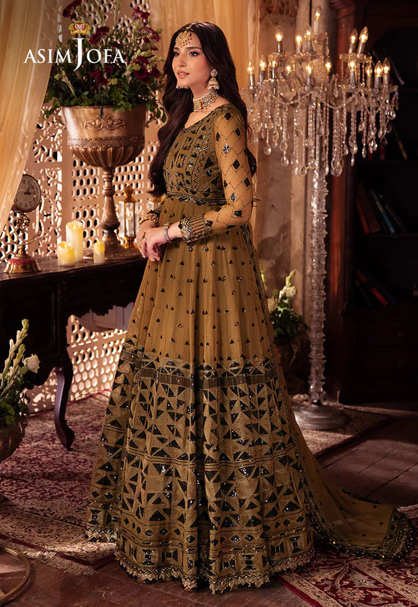 Asim Jofa | VASL | EMBROIDERED CHIFFON 3 PCS | AJYV-06 - House of Ayeza