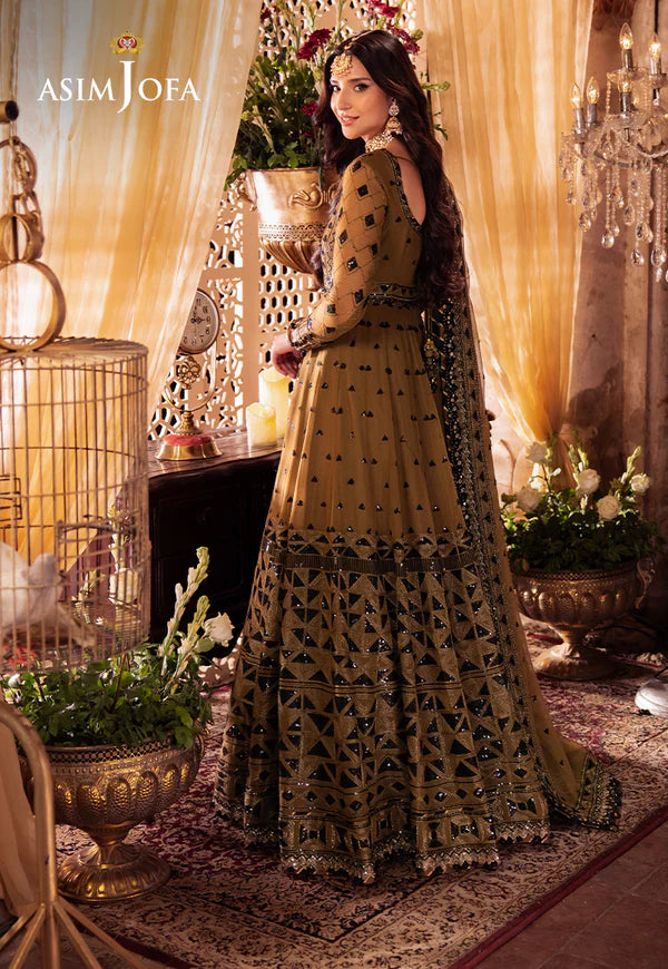 Asim Jofa | VASL | EMBROIDERED CHIFFON 3 PCS | AJYV-06 - House of Ayeza