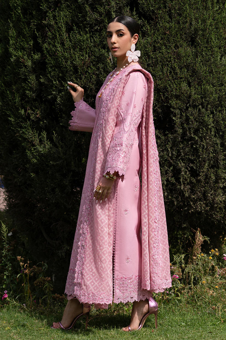 Zarposh | Celia | Roselle - House of Ayeza