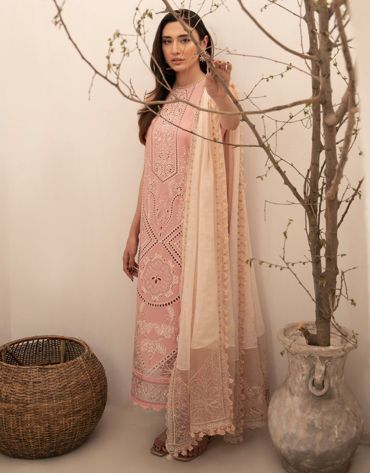 CINQ | Capsule Luxury Eid Edit '24 | MUSK - House of Ayeza