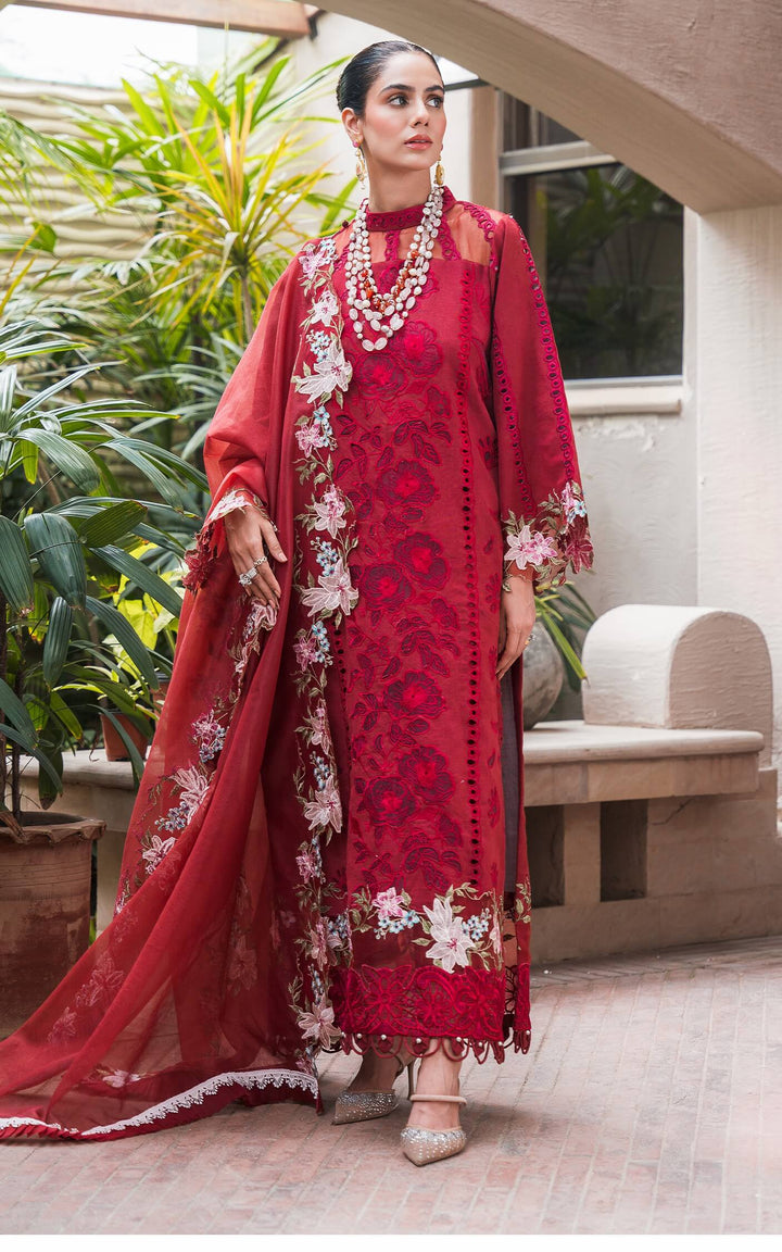 Asifa & Nabeel | Luxury Winter’24 | ROUGE WL-08 - House of Ayeza