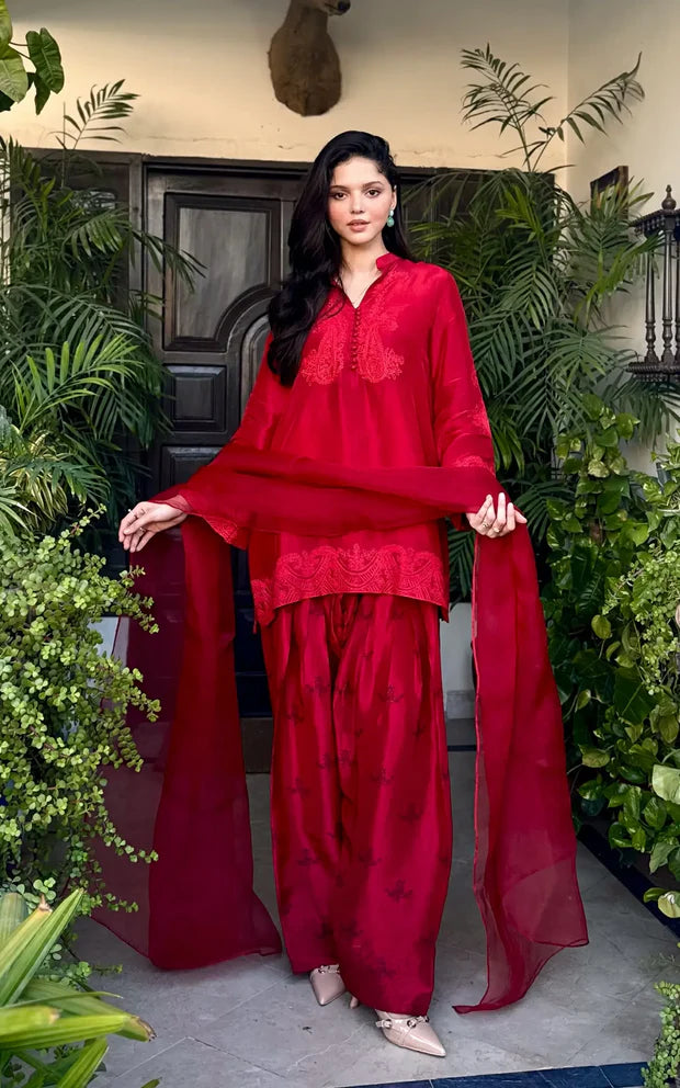 Asifa & Nabeel | Scarlet Grace - House of Ayeza