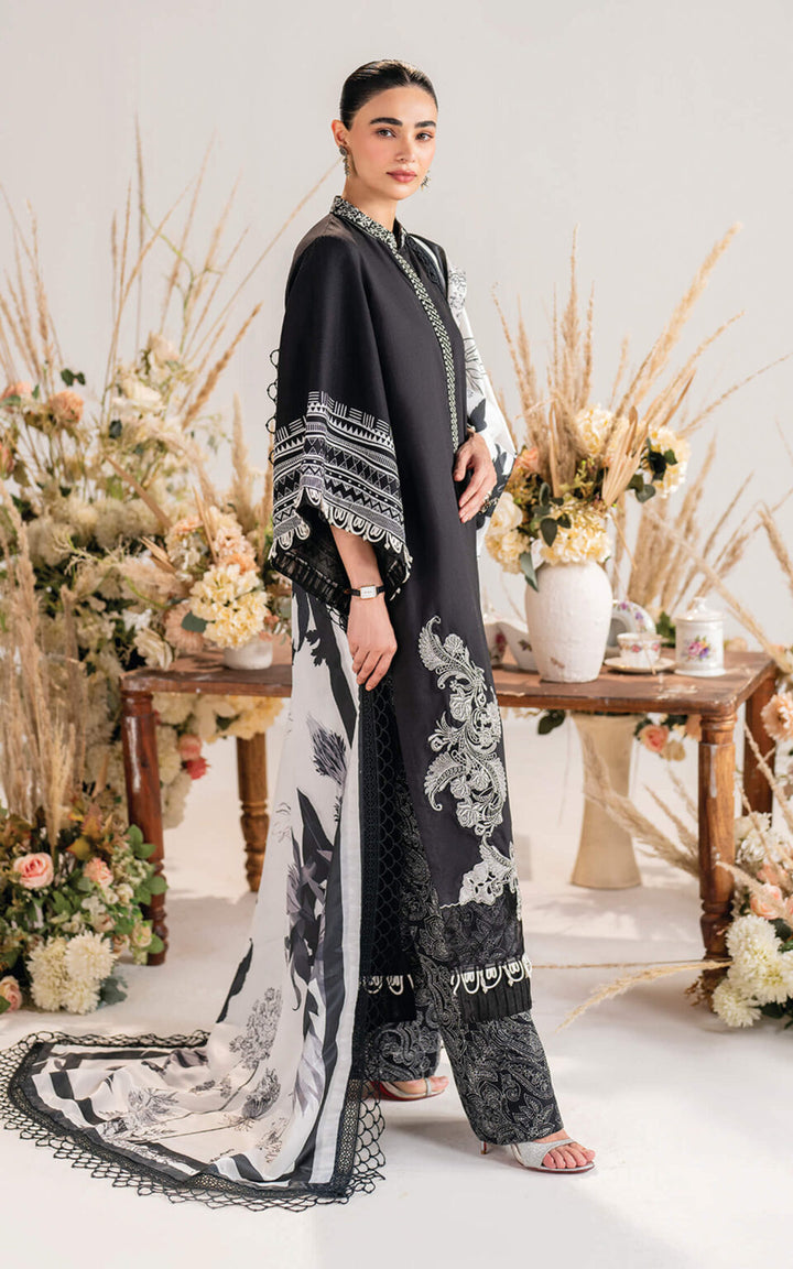 Asifa & Nabeel | Winter Meraki'24 Vol 2 | Velour-MW-05 - House of Ayeza