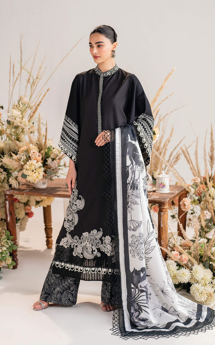 Asifa & Nabeel | Winter Meraki'24 Vol 2 | Velour-MW-05 - House of Ayeza