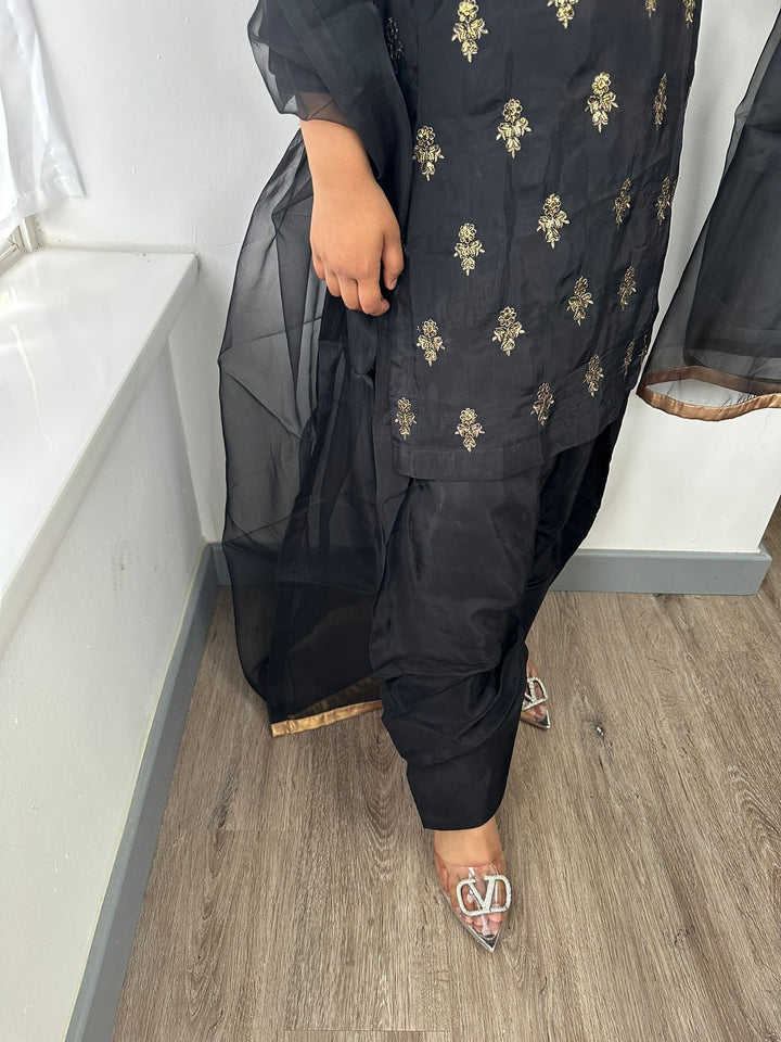 ZYN | Naomi | Anushay - House of Ayeza