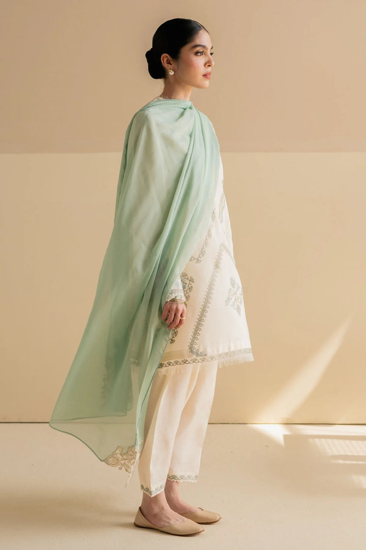 Zara Shahjahan | Fall Pret 24 | ZC-2097 - House of Ayeza