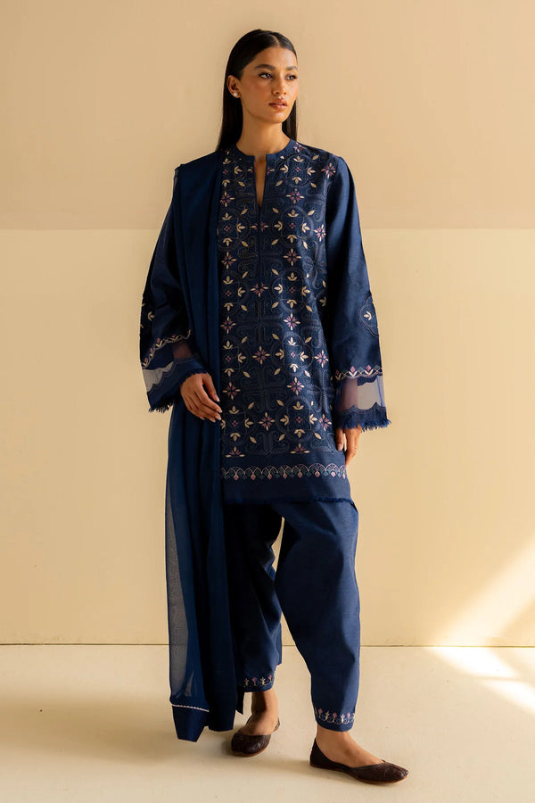 Zara Shahjahan | Fall Pret 24 | ZC-2099 - House of Ayeza