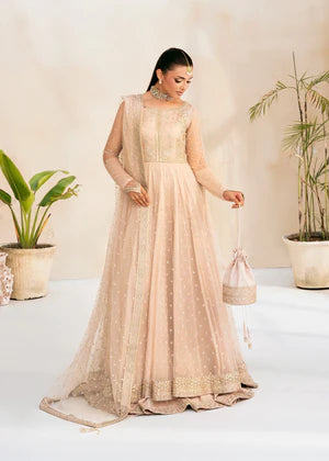 Rang e Haya | L'amour The Language of Love | Amour - House of Ayeza