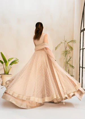 Rang e Haya | L'amour The Language of Love | Amour - House of Ayeza