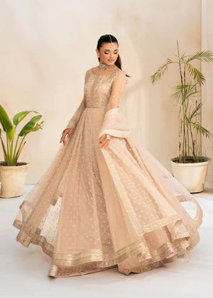 Rang e Haya | L'amour The Language of Love | Amour - House of Ayeza