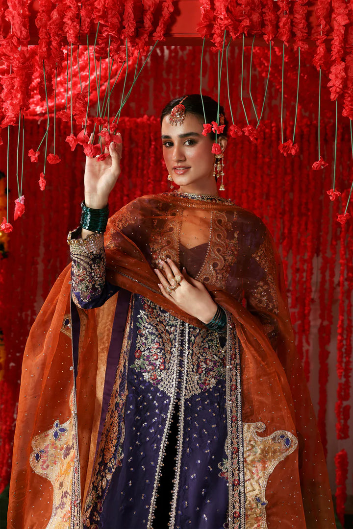 Afrozeh | SHEHNAI WEDDING FORMALS'25 | Gulnaar - House of Ayeza
